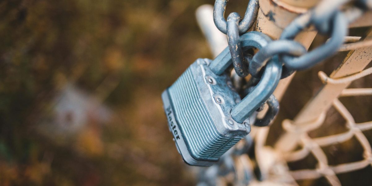 THE DGIT SOLUTIONS WEBSITE AND MOBILE APPS DEVELOPMENT